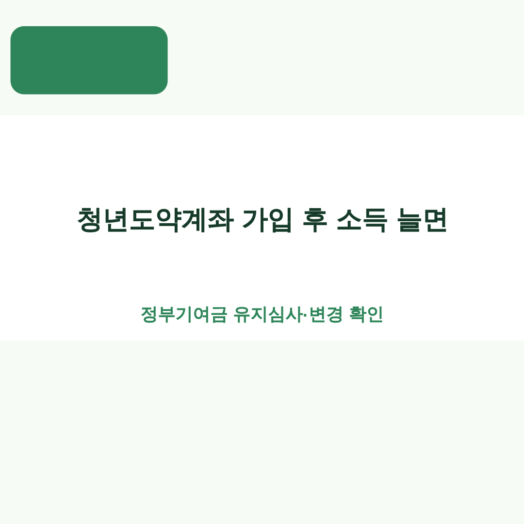 청년도약계좌 가입 후 소득 늘면|정부기여금 유지심사·변경 확인